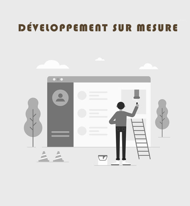 developpement surmesure